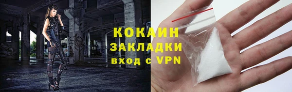 гашик Белоозёрский