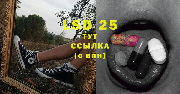 сатива Беломорск