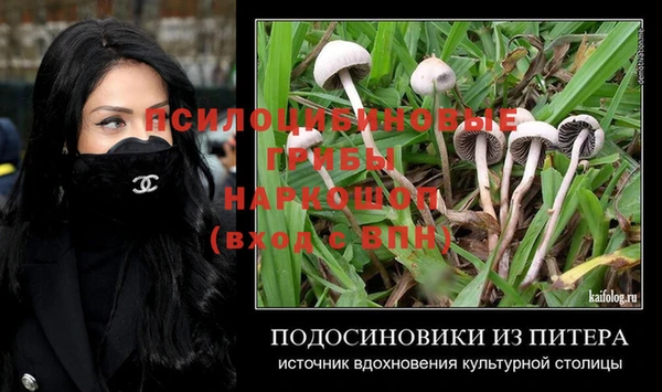 гашик Белоозёрский