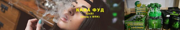 сатива Беломорск