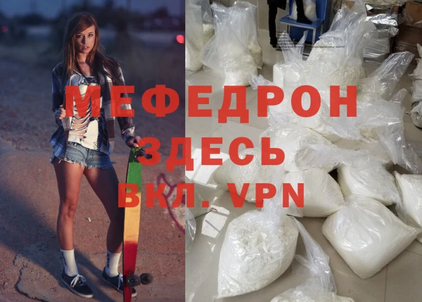 сатива Беломорск