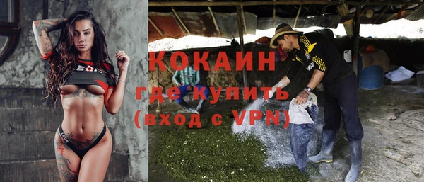 гашик Белоозёрский