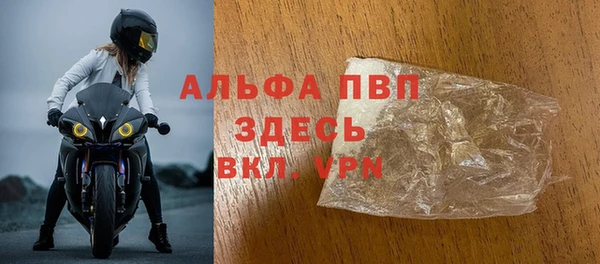 сатива Беломорск