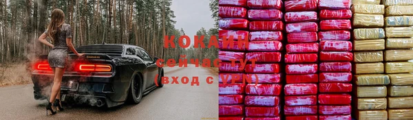 сатива Беломорск