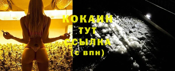 сатива Беломорск