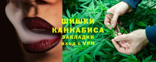 сатива Беломорск