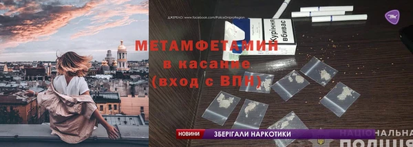 сатива Беломорск