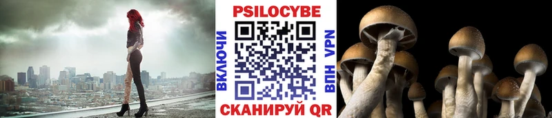 как найти закладки  Ахтырский  ссылка на мегу рабочий сайт  Псилоцибиновые грибы Psilocybe 